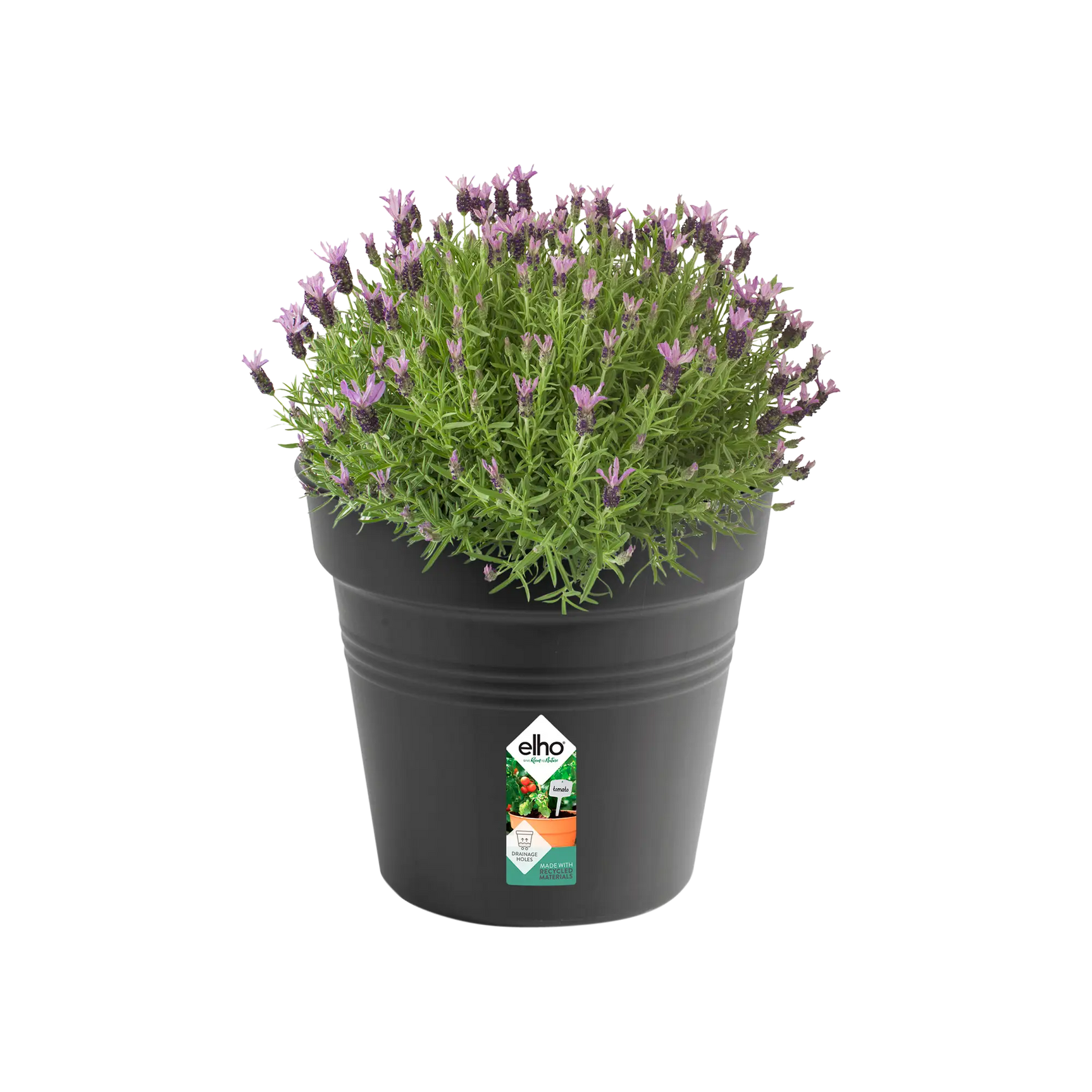 Elho - gb growpot 35cm living black