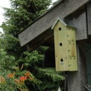 Esschert design - Mussenflat