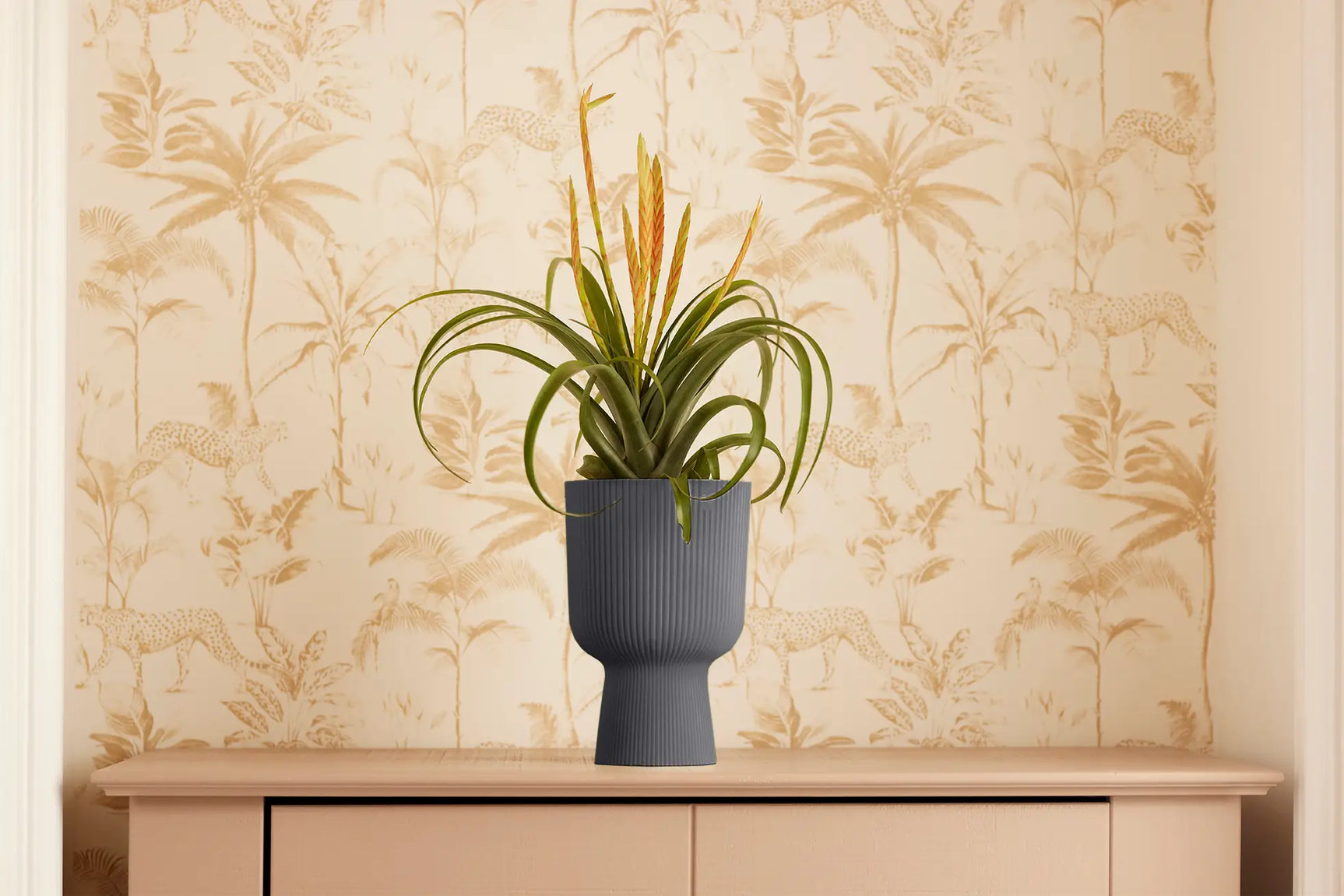 Elho plantenbak met groene plant, antraciet geribbelde coupevoet.