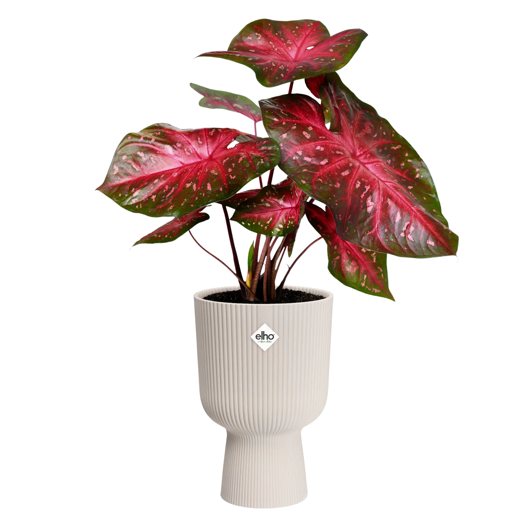 Elho - vibes fold coupe 14cm linnen wit