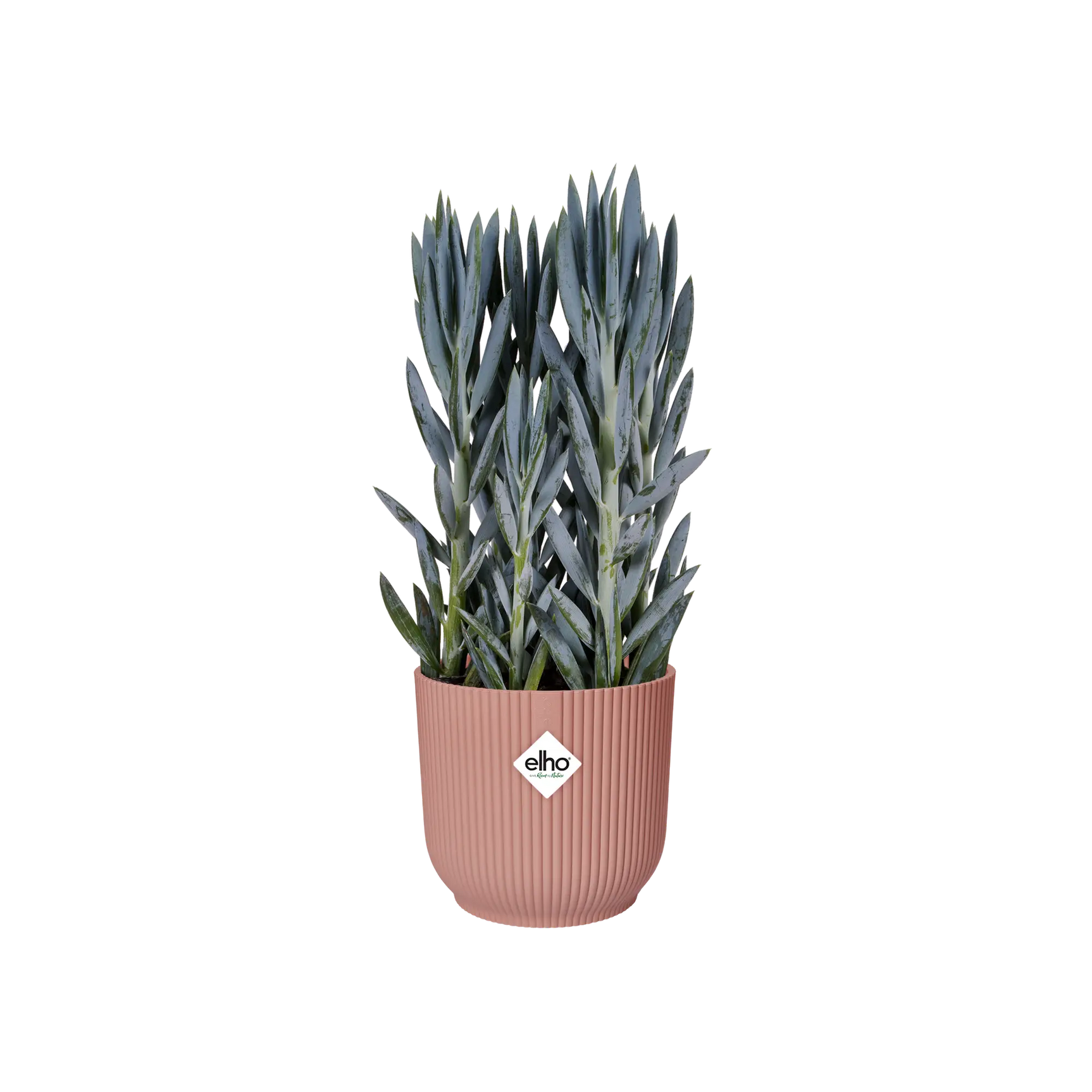 Elho - vibes fold rond 25cm delicate pink