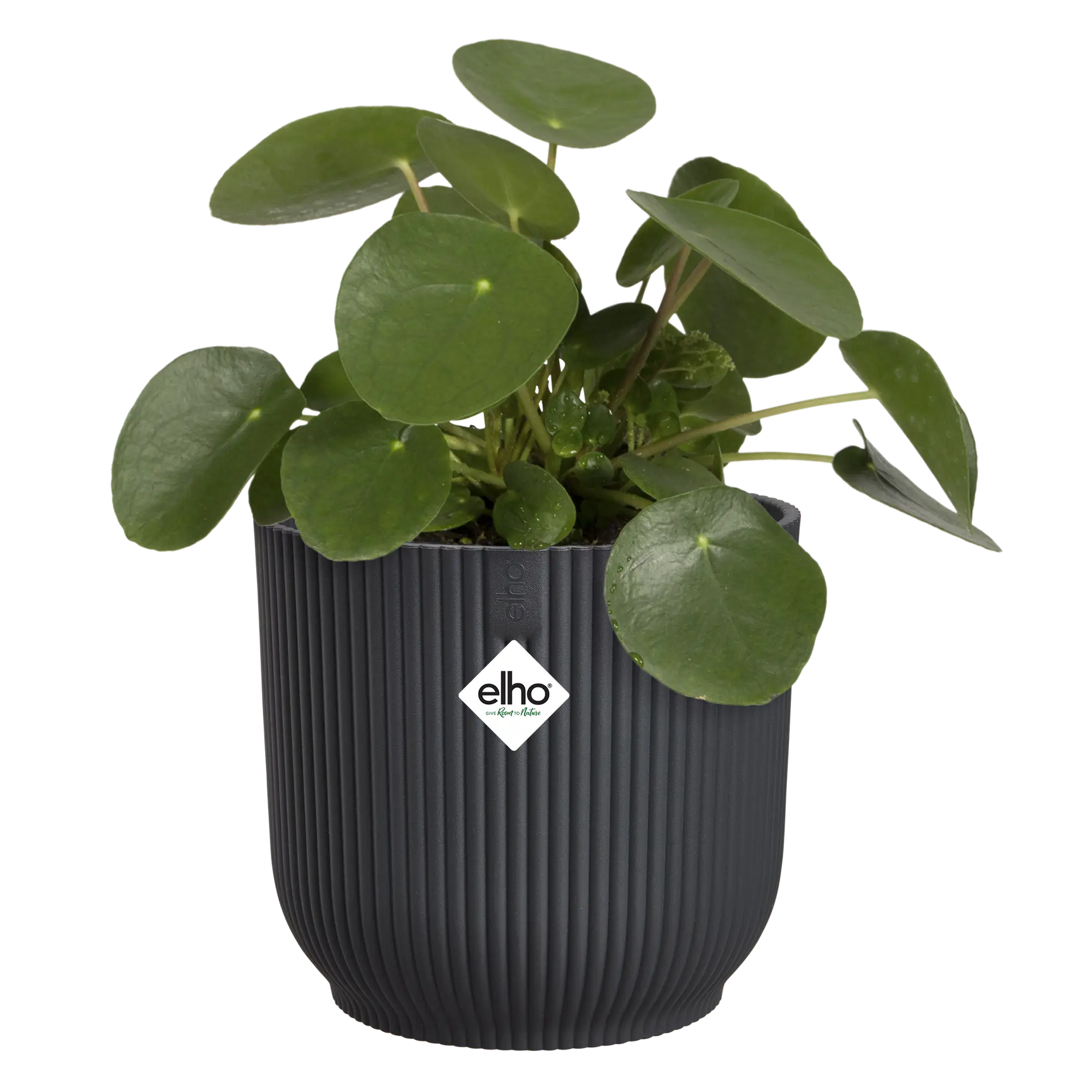 Elho ronde bloempot antraciet met groene plant en Elho-logo op de zijkant