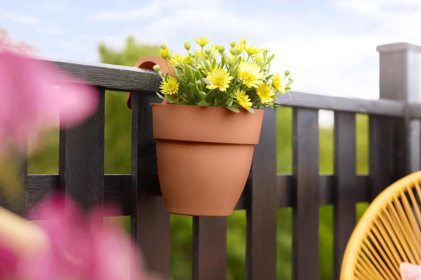 Terra hangende plantenbak met gele bloemen aan een hek
