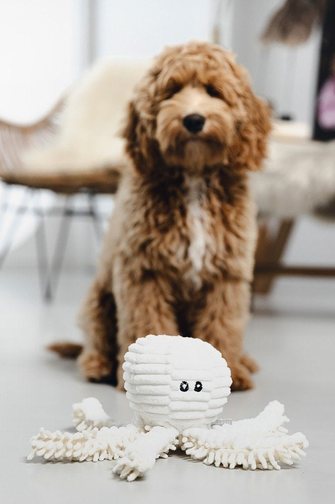 Beeztees - Eco Fl Octopus Okki Bge 26cm