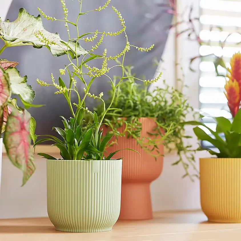 Kunststof bloempotten