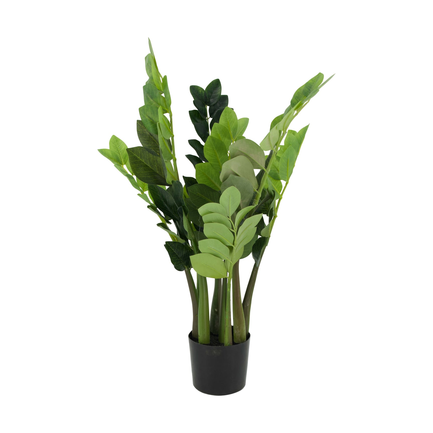 Plant zamioculcas kunstmatig