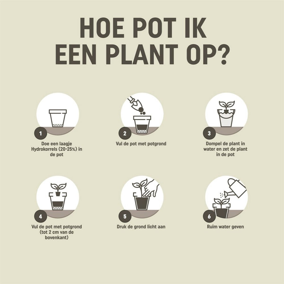 Infographic met stappen voor potgrond: pot vullen, plant plaatsen, water geven.