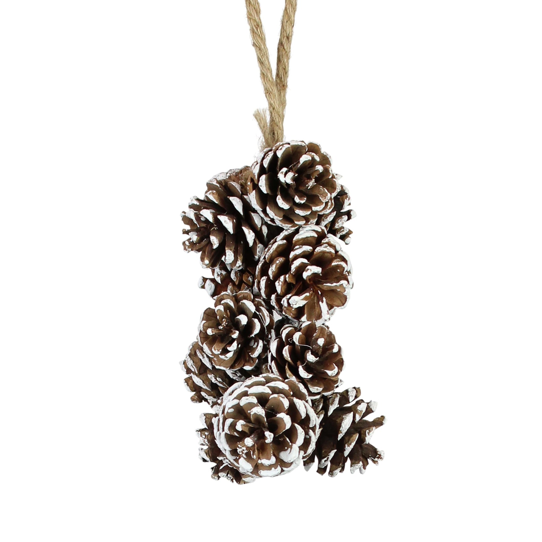 Hanger met dennenappel van bruin gedroogd materiaal, met touwlus