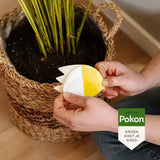 Vangplaatje van Pokon wordt in potgrond geplaatst door handen naast plant