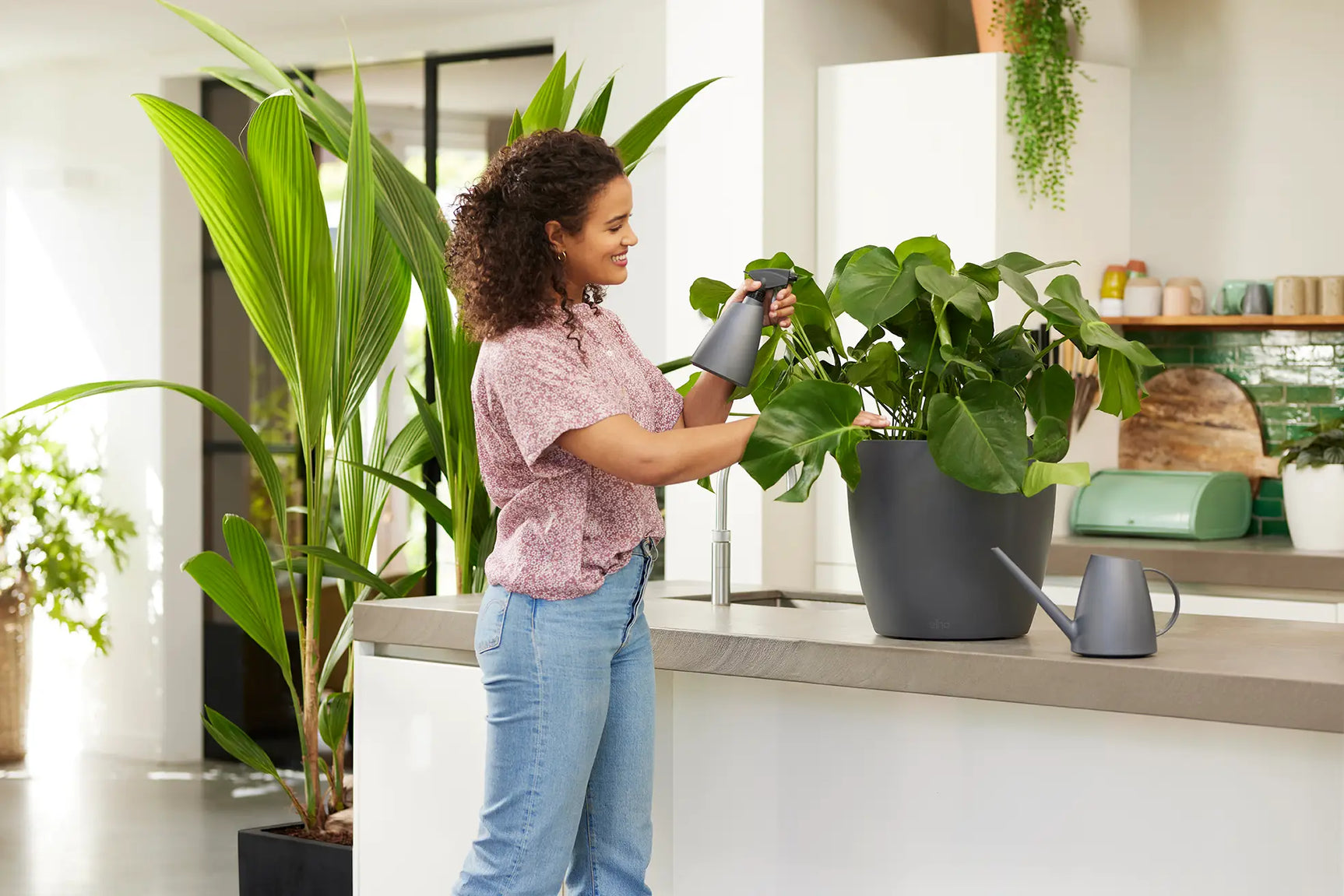 Elho brussels gieter grijs, gietend bij planten op de vensterbank