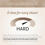 Antos Bullepeespuntjes