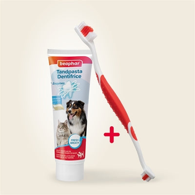 Beaphar Tandpasta En Borstel Combi-Pack