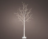 Micro LED boom pvc birch steady buiten dia100cm x H.180cm