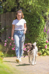 Beeztees - Looplijn Balacron Ax Grijs 180cm