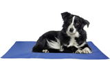 Blauwe rechthoekige koelmat met hond erop