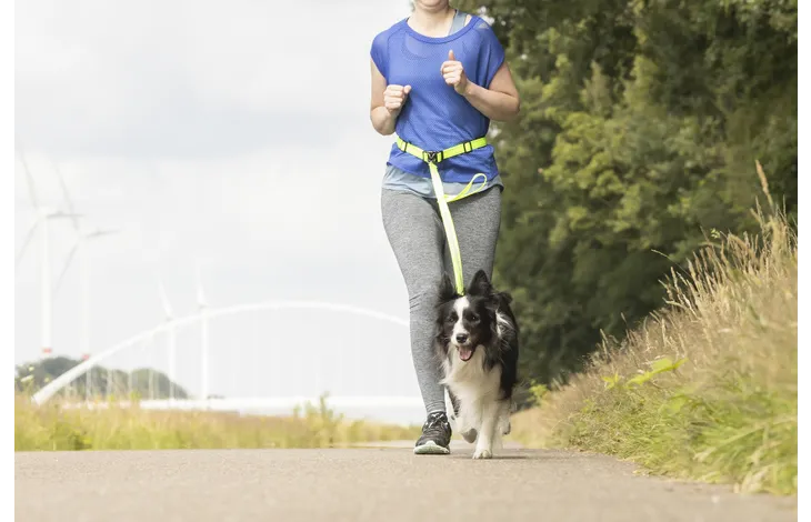 FLAMINGO heupriem met jogginglijn, vrouw draagt riem terwijl hond naastloopt