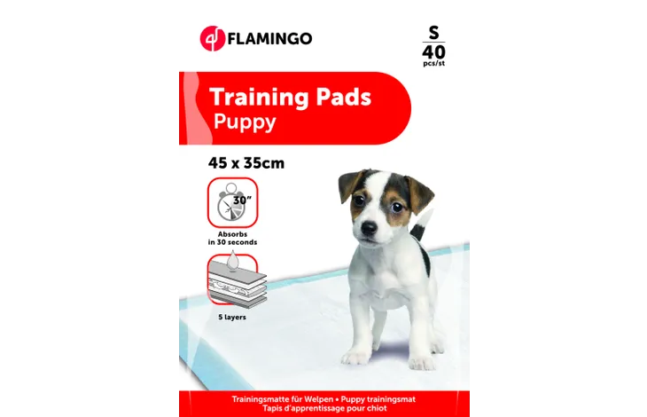 Hond Hygiëne