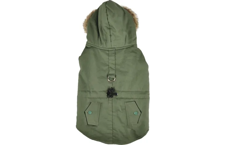 Groene hondenwinterjas met capuchon en bontkraag, knoopsluiting