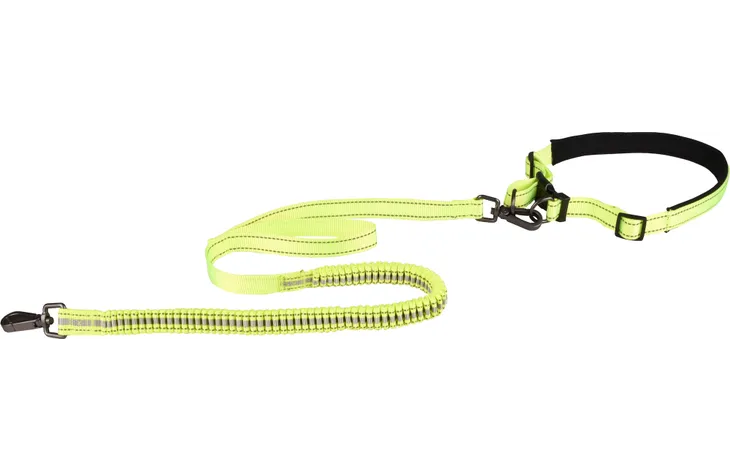 Groene jogginglijn met heupriem en riemlus voor honden
