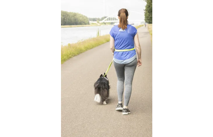 Loper met blauwe shirt en heupriem; groene lijn loopt naar de hond