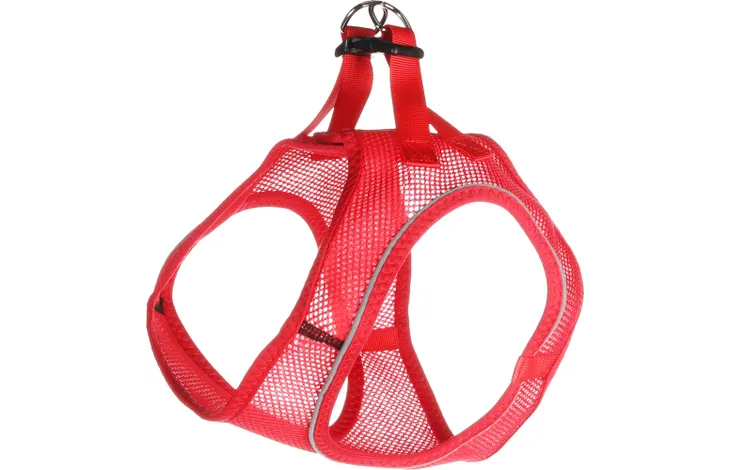 Flamingo - Harnas Step&Go Bento Rood XXL