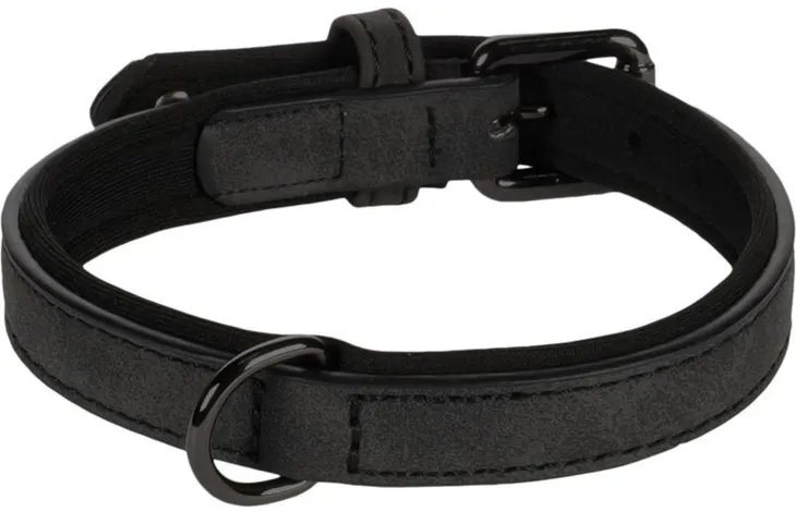 Neopreen halsband Delu zwart met D-ring en verstelband, metalen sluiting