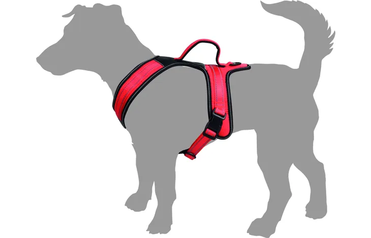 Flamingo - Harnas Toga Rood XL | A:61cm B:94-132cm