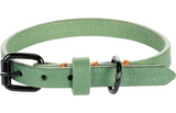 Flamingo halsband Leano groen XS met verstelgesp, zwarte D-ring en oranje koordaccent