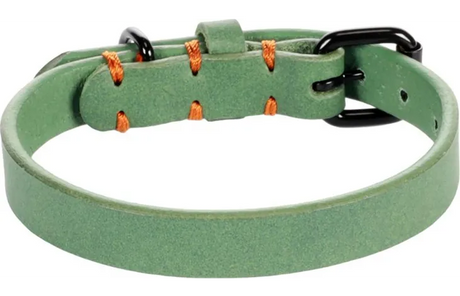 Groene hondenhalsband met oranje stiksels en zwarte gespsluiting, met verstelgaatjes.