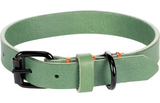 Flamingo halsband Leano groen met zwarte gesp en D-ring, oranje stiknaden
