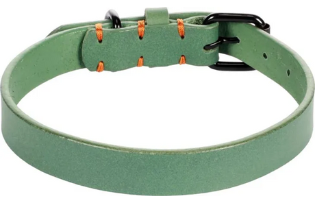 Groene halsband met gesp, oranje stiksels en metalen ringen