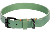 Groene halsband met gesp en ringen, verstelbare band in 36–44 cm