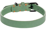 Flamingo halsband Leano groen met zwarte sluitgesp, oranje studs en O-ringen