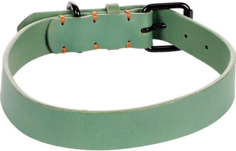 Groene hondenhalsband met zwart gesp en D-ring, zichtbaar verstelgat.