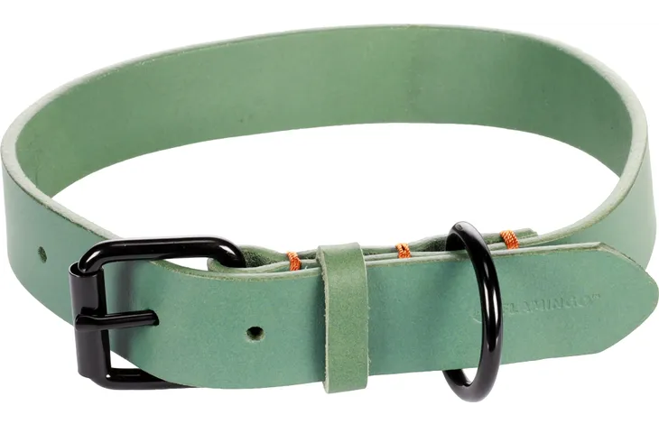 Groene halsband met zwart D-ring en gesp, verstelbaar met gaatjes.