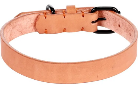 Cognac leren halsband met verstelgaten en zwarte ringen, brede sluitingband