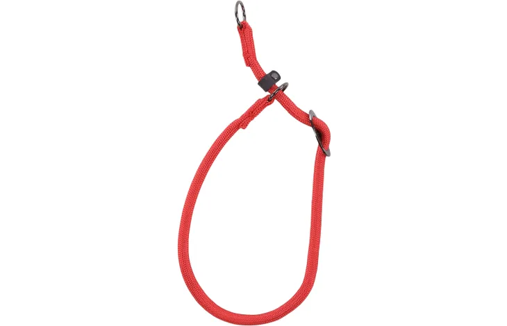 Anti-trek halsband, rode bandlus met bevestigingsring en verstelbare sluiting
