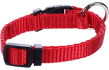 Rode halsband met zwart verstelgesp en metalen D-ring, detail van sluiting.