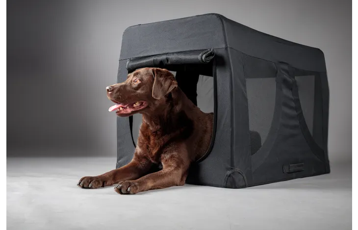 Zwarte opvouwbare transportkooi met hond bij de open deur