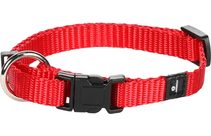 Rode nylon halsband met zwarte gesp en ringetjes