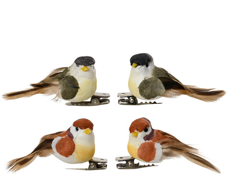 Assortiment vogelveren op knijpklem met 4 decoratieve clips, bont gekleurde vogeltjes