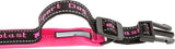 FERPLAST HONDENHALSBAND SPORT DOG C25/55 ROZE