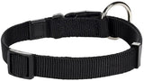 Zwarte nylon halsband met gespsluiting en metalen D-ring