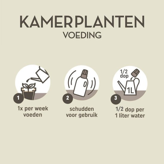 Pokon - Kamerplanten Voeding 500ml