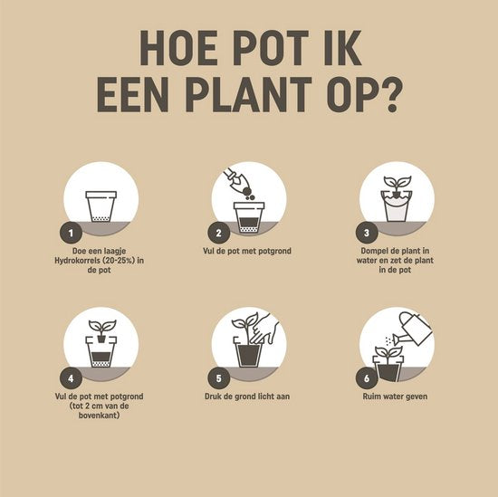 Pokon - BIO Moestuin grond 10 liter turfvrij