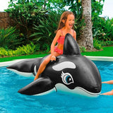 Intex walvis Giant Ride-on XL