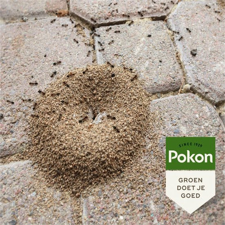 Pokon - Bio Tegen Mieren Korrels 400 gram