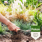 Pokon - Siergrassen & Bamboe Mest 1 kilo voor 120 dagen extra voeding