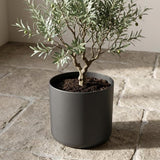 Elho - B. For Soft Round Anthracite 25cm