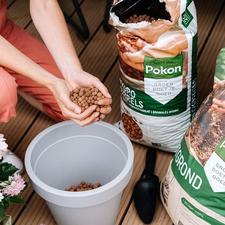 Pokon - Hydrokorrels in zak van 5 liter